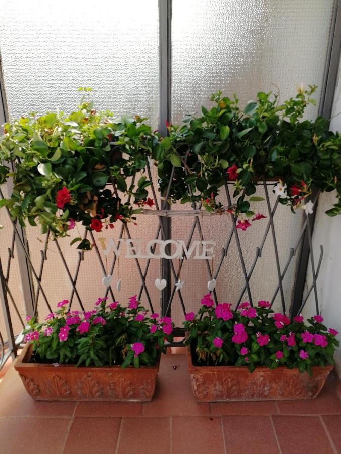 Casa Castellano Bed & Breakfast Nola Bagian luar foto
